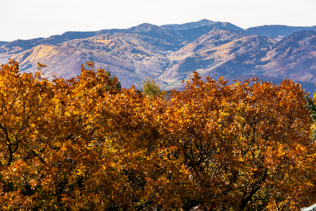 1481 E Tollgate Rd, Park City, UT 84098 — photo 8