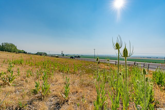 8260 N Highway 91, Richmond, UT 84333 — photo 9