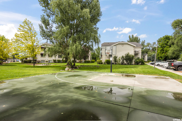 Sports Court