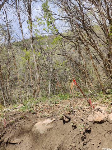 #L-48, Fairview, UT 84629 — photo 8