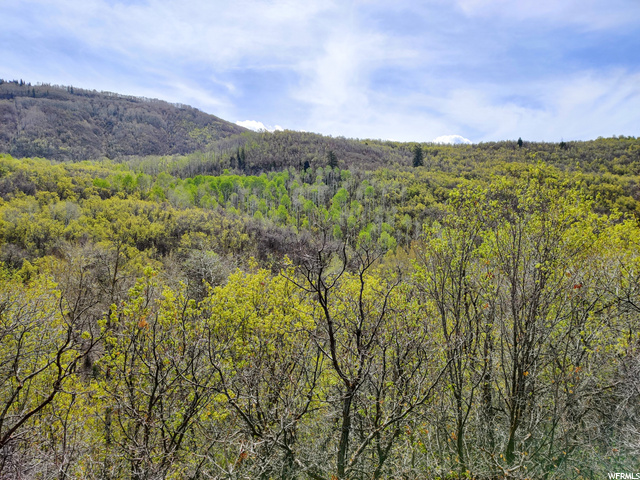 #L-48, Fairview, UT 84629 — photo 6