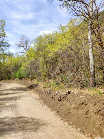 #L-48, Fairview, UT 84629 — photo 7