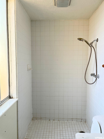 Master Bath Shower