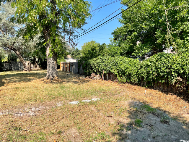 Back yard