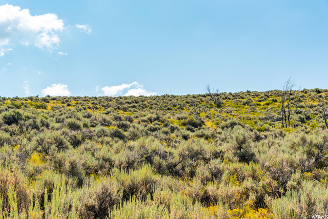 7054 Bugle Trl #2, Park City, UT 84098 — photo 4