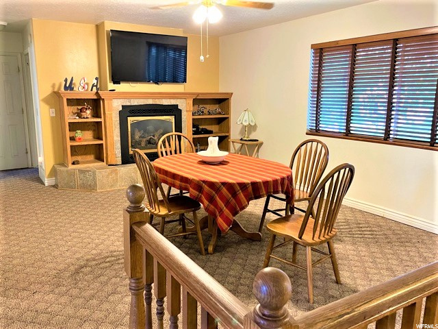 285 S 100 W, Lewiston, UT 84320 — photo 4