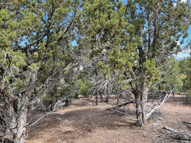 #4-D, Parowan, UT 84761 — photo 3