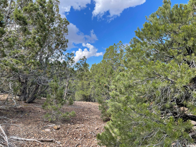 #4-D, Parowan, UT 84761 — photo 4