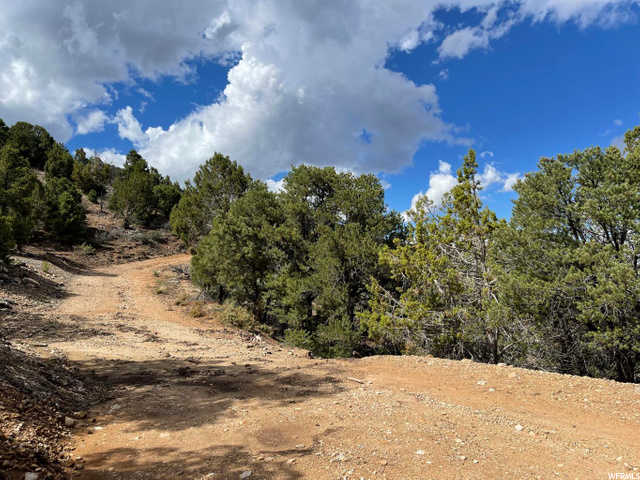 #4-D, Parowan, UT 84761 — photo 6