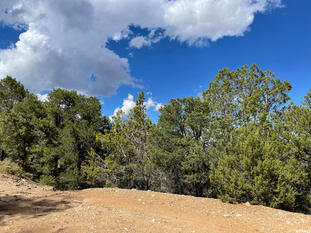 #4-D, Parowan, UT 84761 — photo 5