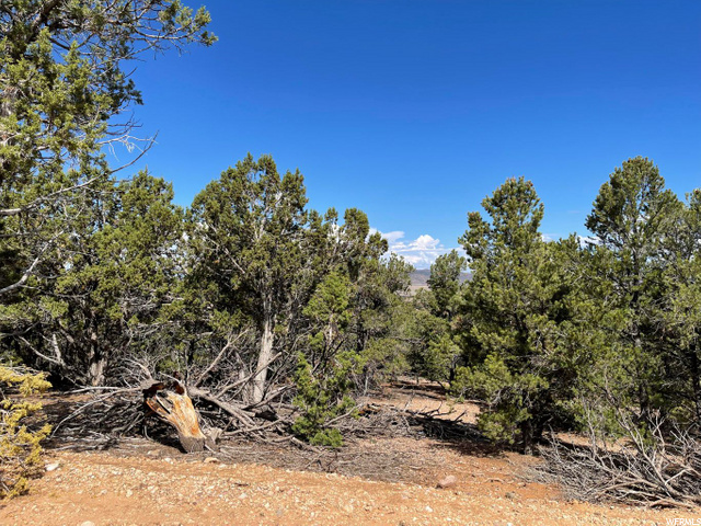 #4-D, Parowan, UT 84761 — photo 2