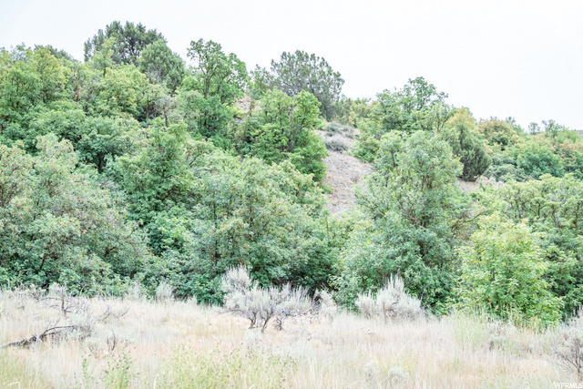 Hyde Park, UT 84318 — photo 9