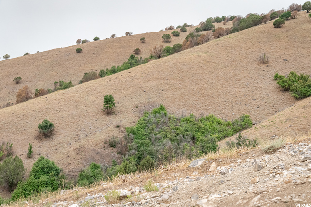 Hyde Park, UT 84318 — photo 12