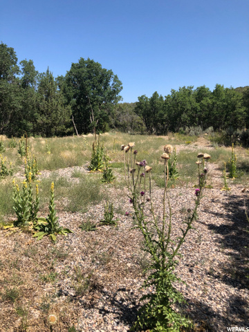 #1, Mt Pleasant, UT 84647 — photo 8