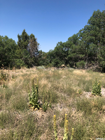 #1, Mt Pleasant, UT 84647 — photo 9