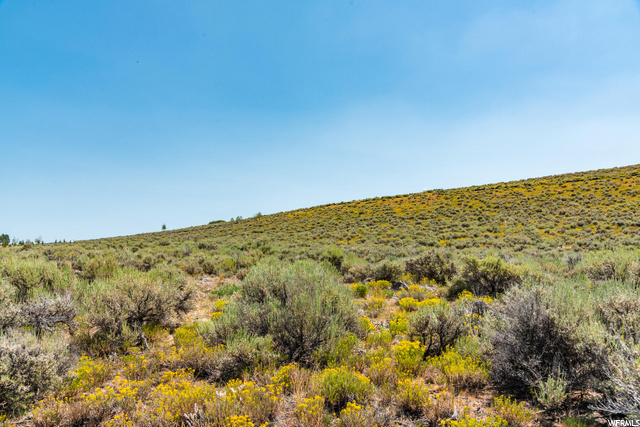 7117 Bugle Trl #14, Park City, UT 84098 — photo 6