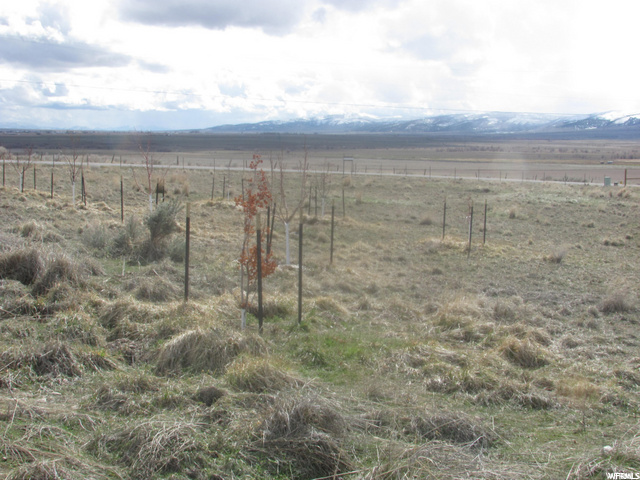 145 E Burraston Rd #3, Mona, UT 84645 — photo 6