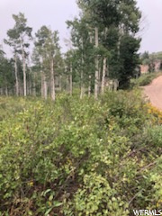 2481 Forest Meadow Rd #D91, Wanship, UT 84017 — photo 8