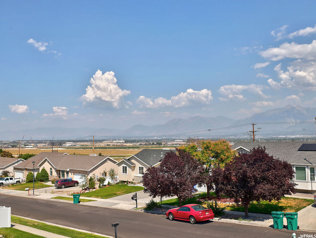 View from the patio