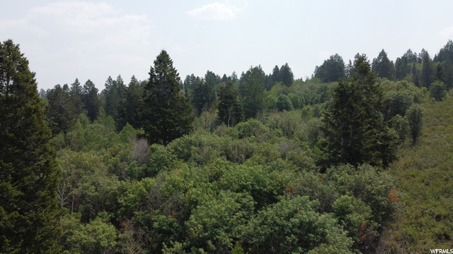 #73, Spanish Fork, UT 84660 — photo 7