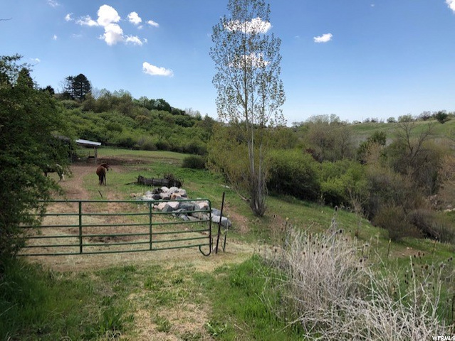 1337 E 1700 N, Layton, UT 84041 — photo 6