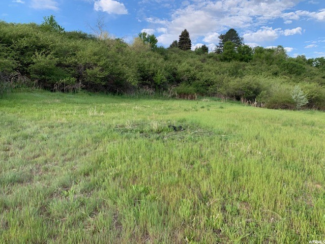 1337 E 1700 N, Layton, UT 84041 — photo 3