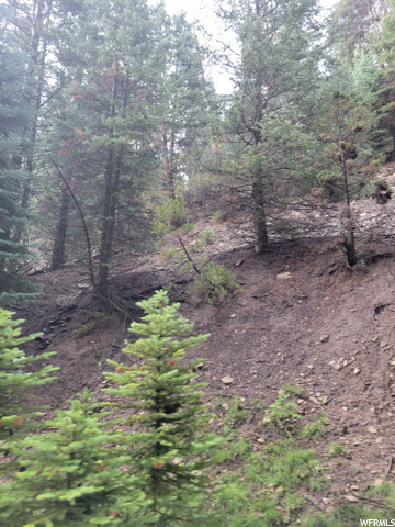 #9, Alton, UT 84710 — photo 5