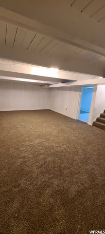 Basement Family Room