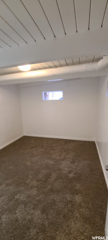 Basement 4th Bedroom