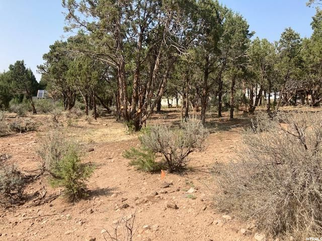 #15, Central, UT 84722 — photo 7