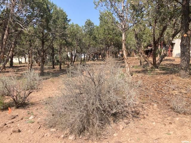 #15, Central, UT 84722 — photo 8