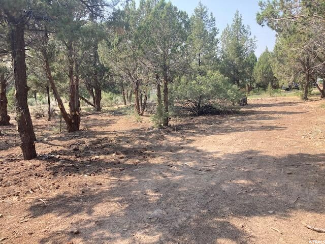 #15, Central, UT 84722 — photo 3