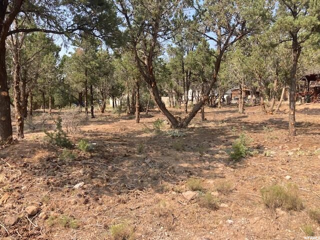 #15, Central, UT 84722 — photo 6