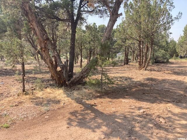 #15, Central, UT 84722 — photo 4