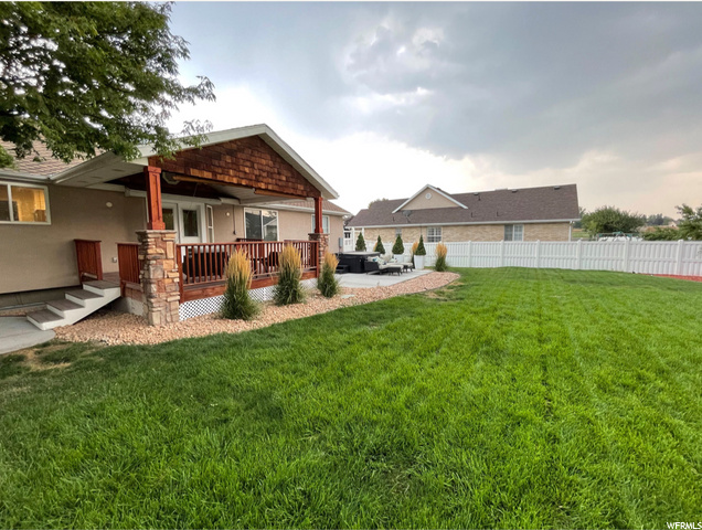 Back yard