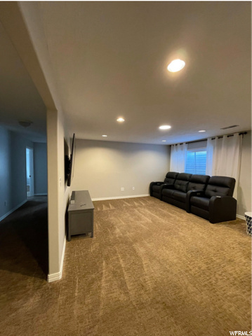 Basement living room