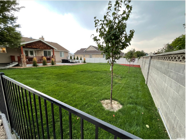 Back yard
