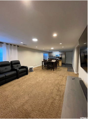 Basement living room