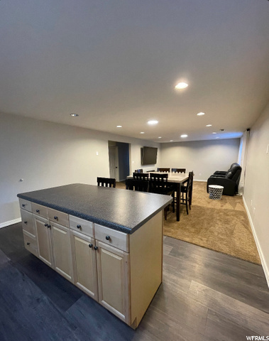 Basement Kitchen