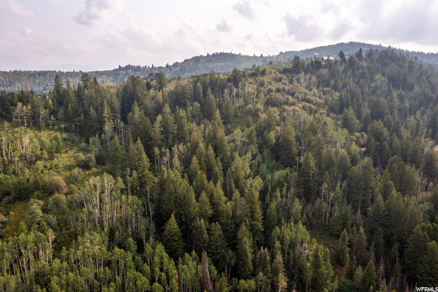 Ss-144-e-1, Wanship, UT 84017 — photo 7