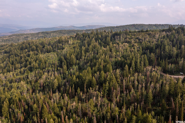 Ss-144-e-1, Wanship, UT 84017 — photo 10