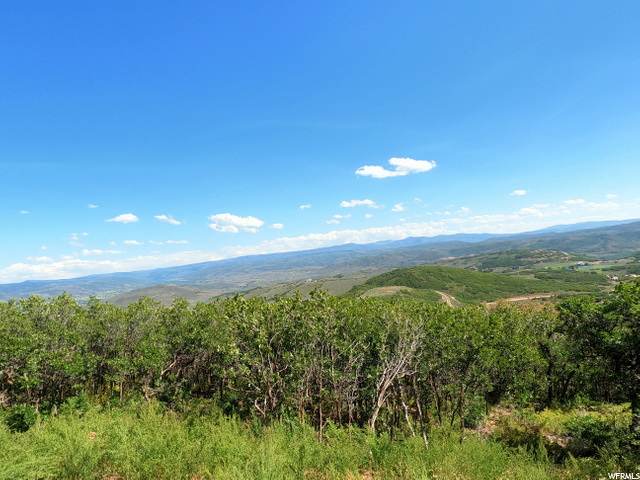 2052 E Peak View Dr E #382, Kamas, UT 84036 — photo 4