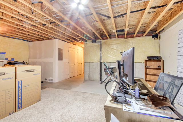 Unfinished Basement