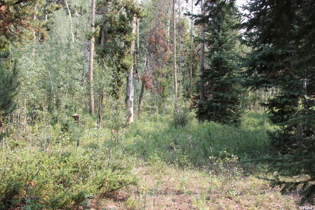 5167 Cougar Ln, Kamas, UT 84036 — photo 7