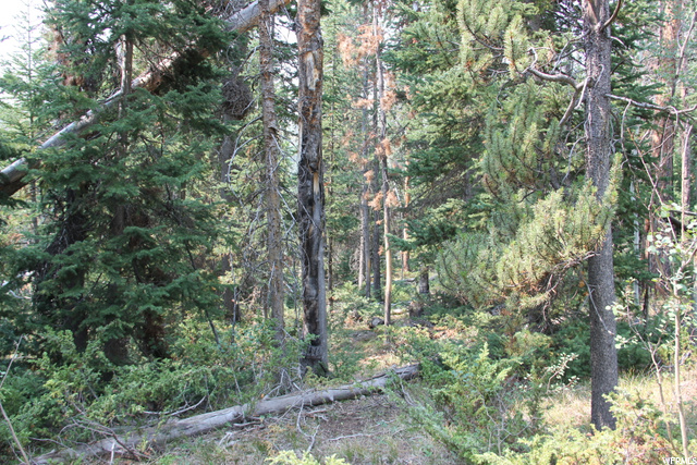 5167 Cougar Ln, Kamas, UT 84036 — photo 3
