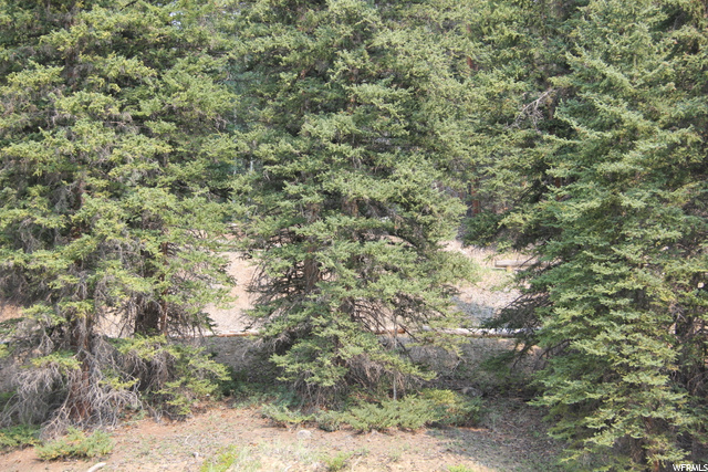 5167 Cougar Ln, Kamas, UT 84036 — photo 2