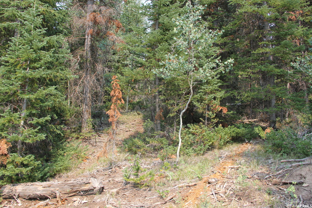 5167 Cougar Ln, Kamas, UT 84036 — photo 9