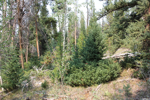 5167 Cougar Ln, Kamas, UT 84036 — photo 4