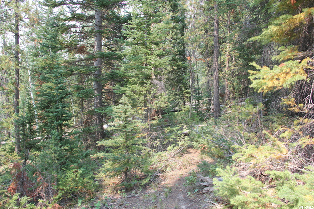 5167 Cougar Ln, Kamas, UT 84036 — photo 12