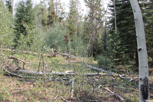 5167 Cougar Ln, Kamas, UT 84036 — photo 5